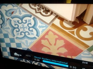 "See how pretty they are up close?" she pointed out.