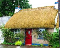 "Why, those tiles would even work in my Irish cottage," I added.