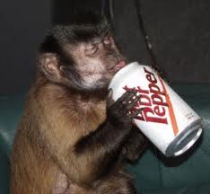 Diet Dr Pepper: monkey on my back