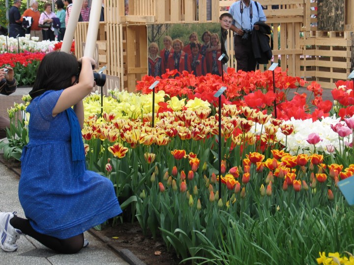 Holland and Belgium 297